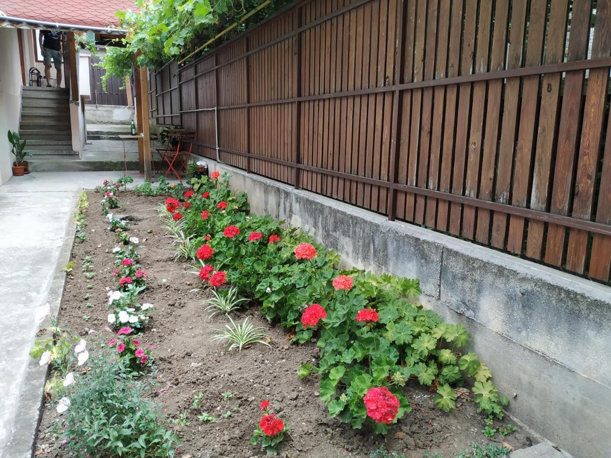 @ Home Veliko Tarnovo Eksteriør billede